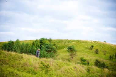 İnekler güzel yeşil bir çayırda 