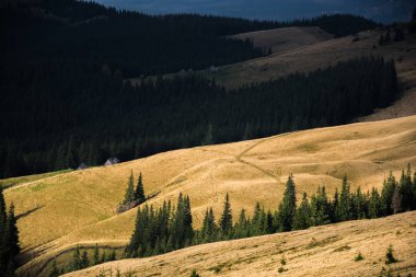 Güneş Karpat dağ Vadisi aydınlatır. Karpatlar dağ sonbaharda. Parlak sonbahar. Ukrayna, Karpat Dağları konumu