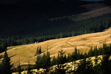 Güneş Karpat dağ Vadisi aydınlatır. Karpatlar dağ sonbaharda. Parlak sonbahar. Ukrayna, Karpat Dağları konumu
