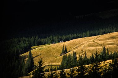 Güneş Karpat dağ Vadisi aydınlatır. Karpatlar dağ sonbaharda. Parlak sonbahar. Ukrayna, Karpat Dağları konumu