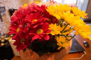 renkli krizsanthemums güzel buket