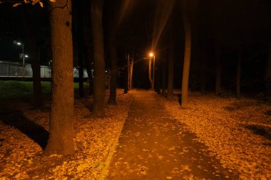 fener ışığında gece Parkı