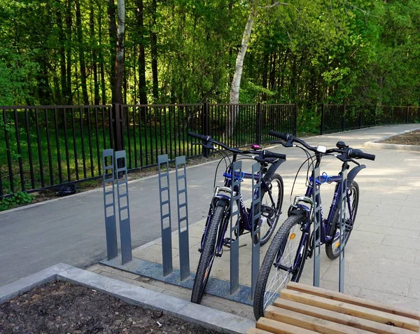 开始在梅舍斯基公园骑自行车 — 图库照片