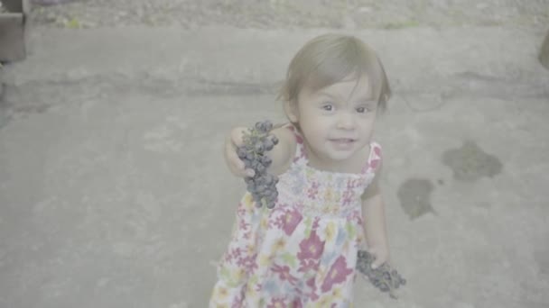 Τετράχρονη Κόρη Δίνει Σταφύλια Στη Μαμά Της Pov Pov Πλάνα — Αρχείο Βίντεο