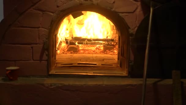 pizza cuisinière en feu dans le four 