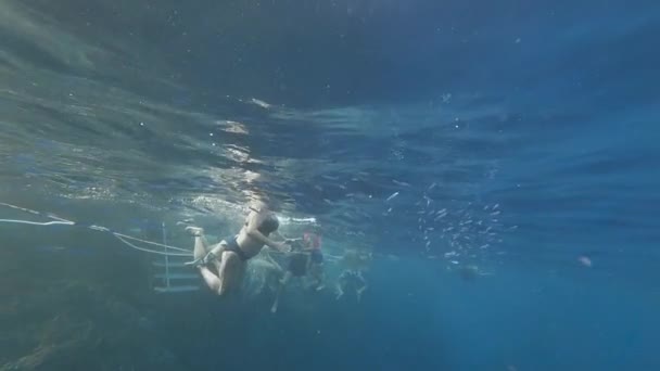 Red Sea, guy, athlete with long hair swims underwater — Wideo stockowe