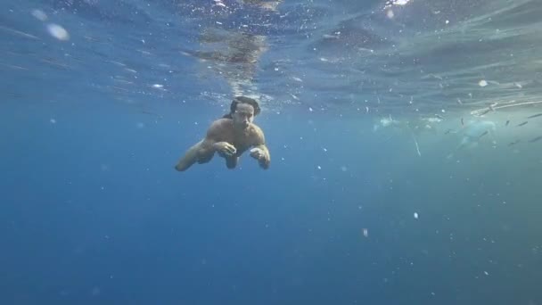 Röda havet, Guy, atlet med långt hår simmar under vattnet — Stockvideo