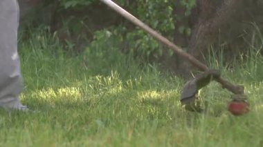 Çim biçme makinesi çimenleri biçer, yakın plan.