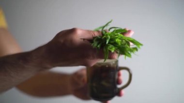 Adam bardaktan, tarhun otundan, yakın plandan bir demet şifalı bitki çıkarıyor.