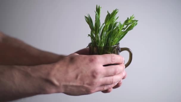 Primer plano de las manos masculinas sacando de un vaso con agua, hierba medicinal — Vídeos de Stock