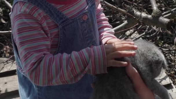 Pequena menina bonita acaricia um gatinho, que sua avó lhe dá — Vídeo de Stock