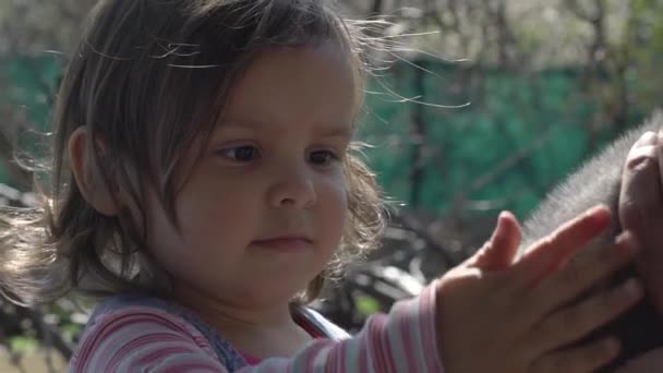 Bambina, 3 anni, accarezza un gattino, che è tenuto dalla nonna tra le braccia, sorridendo e gioendo — Video Stock