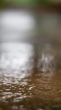 Experience the Serene Rainfall Gently Drizzling Over Calm and Peaceful Waters Below. Slow motion. Close up Raindrops create gentle ripples on a serene water surface. High quality 4k footage