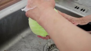This is a detailed stepbystep guide on effectively washing and preparing fresh cabbage in your kitchen