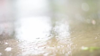 Experience the Serene Rainfall Gently Drizzling Over Calm and Peaceful Waters Below. Slow motion. Close up Raindrops create gentle ripples on a serene water surface. High quality 4k footage