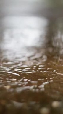 Close up Raindrops create gentle ripples Experience the Serene Rainfall Gently Drizzling Over Calm and Peaceful Waters Below. Slow motion. . High quality 4k footage