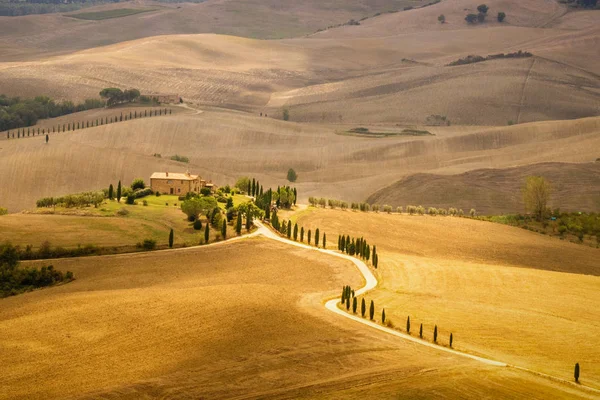emekli okuma gazete pienza, Toskana, İtalya