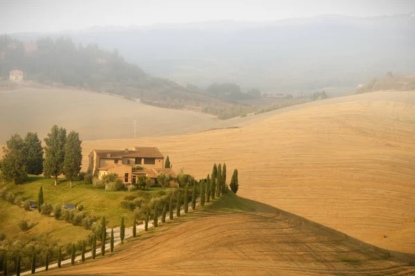 emekli okuma gazete pienza, Toskana, İtalya