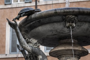 Roma'da Piazza Mattei, tarihi merkezinde kaplumbağa Çeşme, en güzel biri şehirde. Kaplumbağaları tarafından Bernini 1658 eklenen geç 1500'ler edilmiştir. Bu linket romantik bir efsane için.