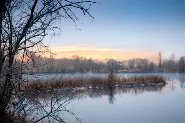 Árvores Inverno Reflexões Com Neve Piemonte — Fotografia de Stock