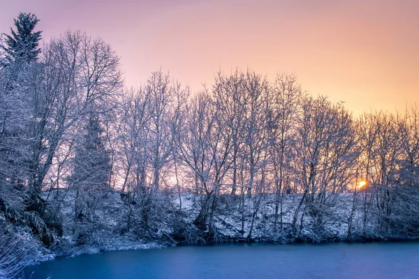 Winterbäume Spiegeln Sich Schnee Piemont — Stockfoto