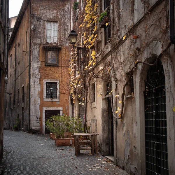 Roma, itália, beco antigo com folhagem amarela — Fotografia de Stock