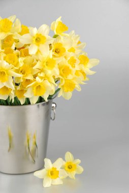 Buket çiçek nergis