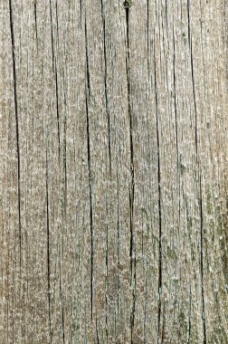 Ahşap doku. arkaplan eski panelleri