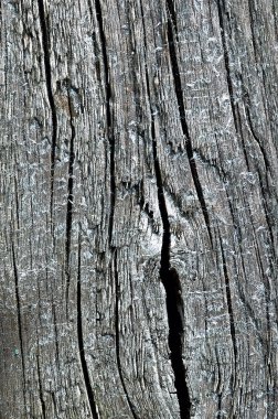 Ahşap doku. arkaplan eski panelleri