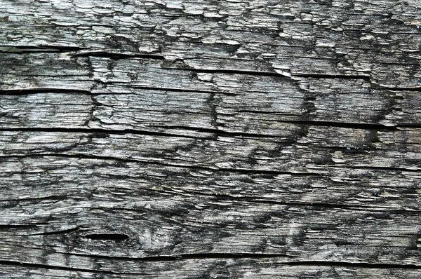 Textura de madeira marrom. Fundo abstrato, modelo vazio — Fotografia de Stock
