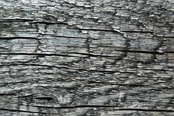 Brun trästruktur. Abstrakt bakgrund, tom mall — Stockfoto