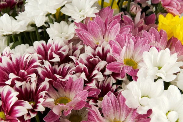 Les fleurs sont sur la table de mariage — Photo