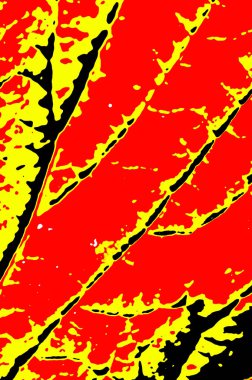 Makro arkaplan dokusunu terk eder.