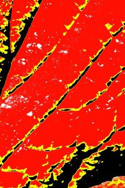 Makro arkaplan dokusunu terk eder.