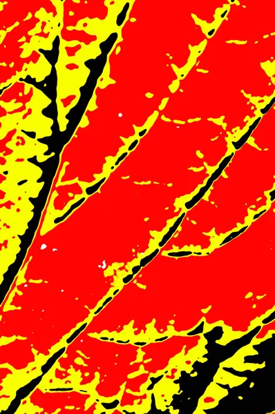 Makro arkaplan dokusunu terk eder.