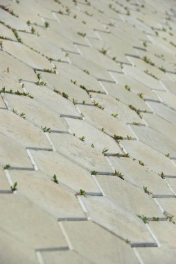 Doku taş kare fayans. Kaldırım taşı Kv F