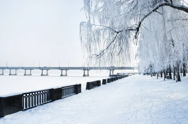 Kışın donmuş bir Dnipro nehir üzerinde köprü