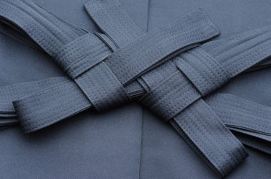Aikido hakama, Japon dövüş sanatları Tekdüzen katlanmış