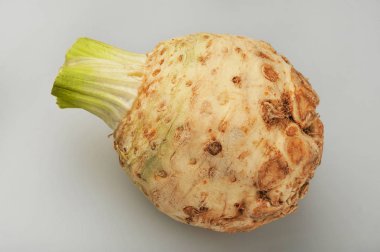 Gri arka planda izole taze kereviz kökü