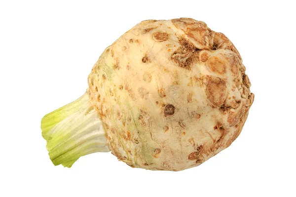 Fresh celery root isolated on white background — Stock Photo, Image