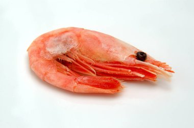 Karidesbeyaz bir arka plan üzerinde izole, üst görünümü