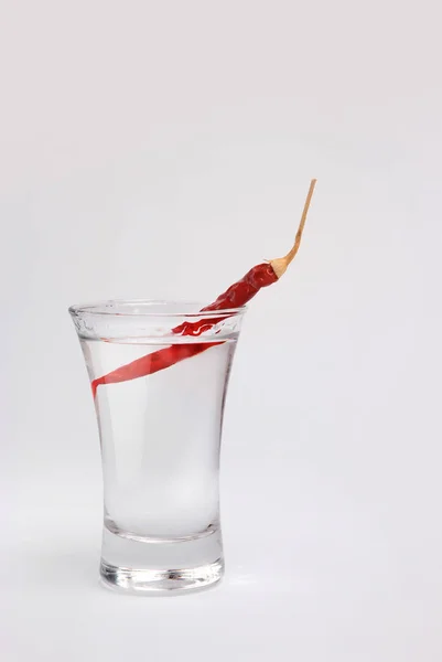 Un trago de vodka y chile rojo picante. Aislado sobre fondo gris —  Fotos de Stock