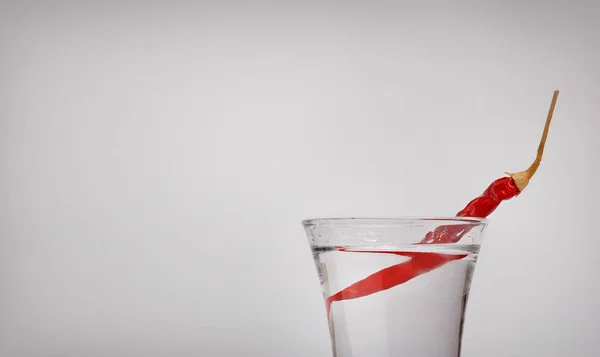 Vodka s vodkou a červenou chilli papričkou. Izolované na šedém pozadí — Stock fotografie