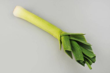 Genç yeşil sarımsak, pırasa, gri arka planda izole edilmiş.