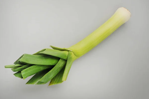 Young-green garlic, leek, isolated on gray background — ストック写真