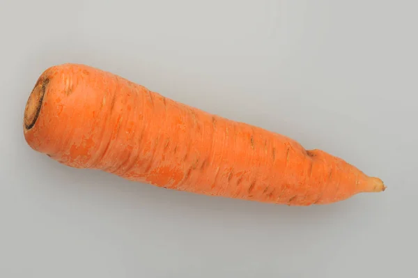 Large carrot on an isolated gray background — Stock Photo, Image