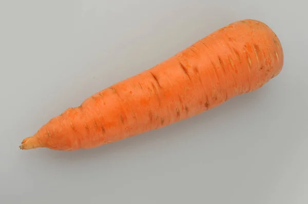 Large carrot on an isolated gray background — Stock Photo, Image