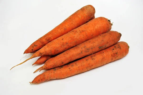 Big dirty carrots on an isolated white background — Stock Photo, Image