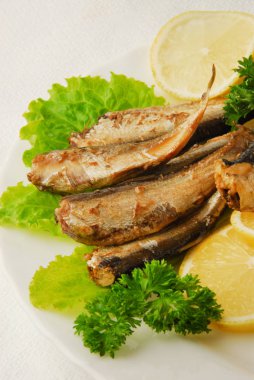 Tavada baharatlı sprats limon, salata bir tabakta