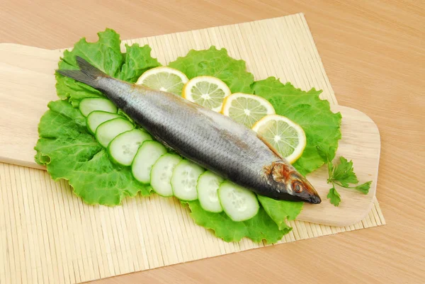 Piatto con pomodori sardine ed erbe aromatiche su fondo grigio isolato — Foto Stock